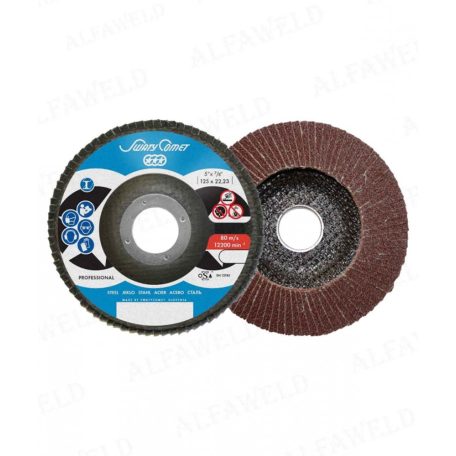 Csiszolótárcsa METALYNX PRO lamellás fémre F27 125x22,2 P40A egyenes