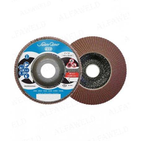 Csiszolótárcsa METALYNX PRO lamellás fémre F29 125x22,2 P60A kúpos